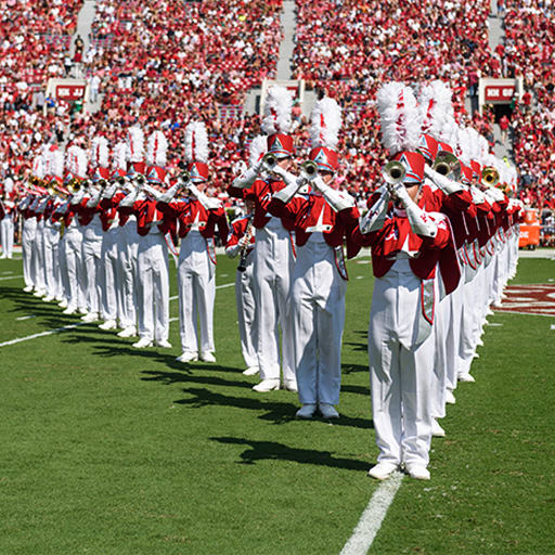 The University of Alabama The Million Dollar Band Campaign