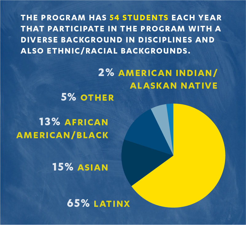 Graphic depicting number of students and ethnic/racial background