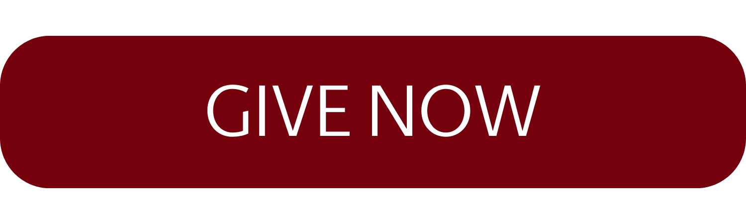 Red rounded rectangular button with white text reading “GIVE NOW.”