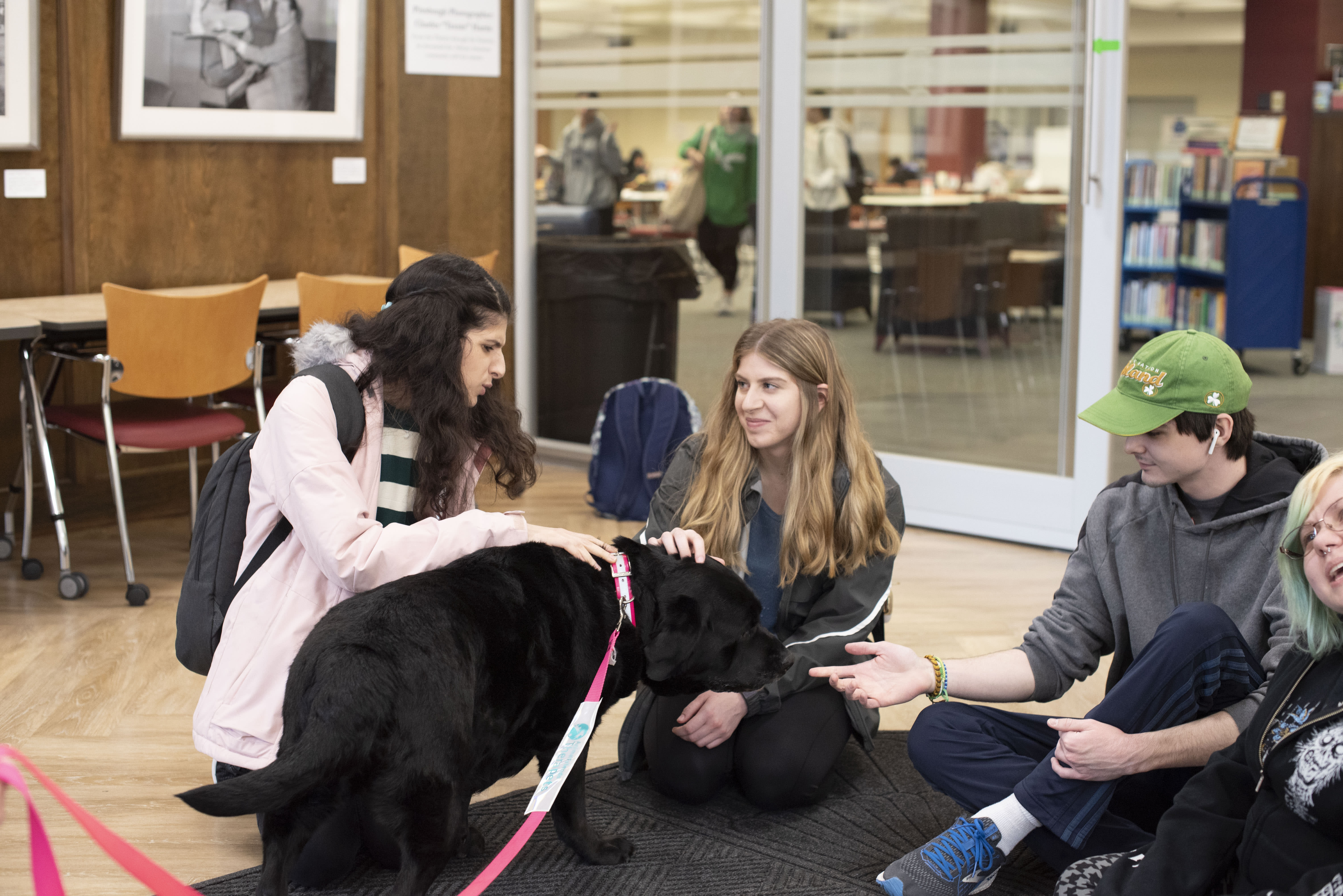 Library dogs