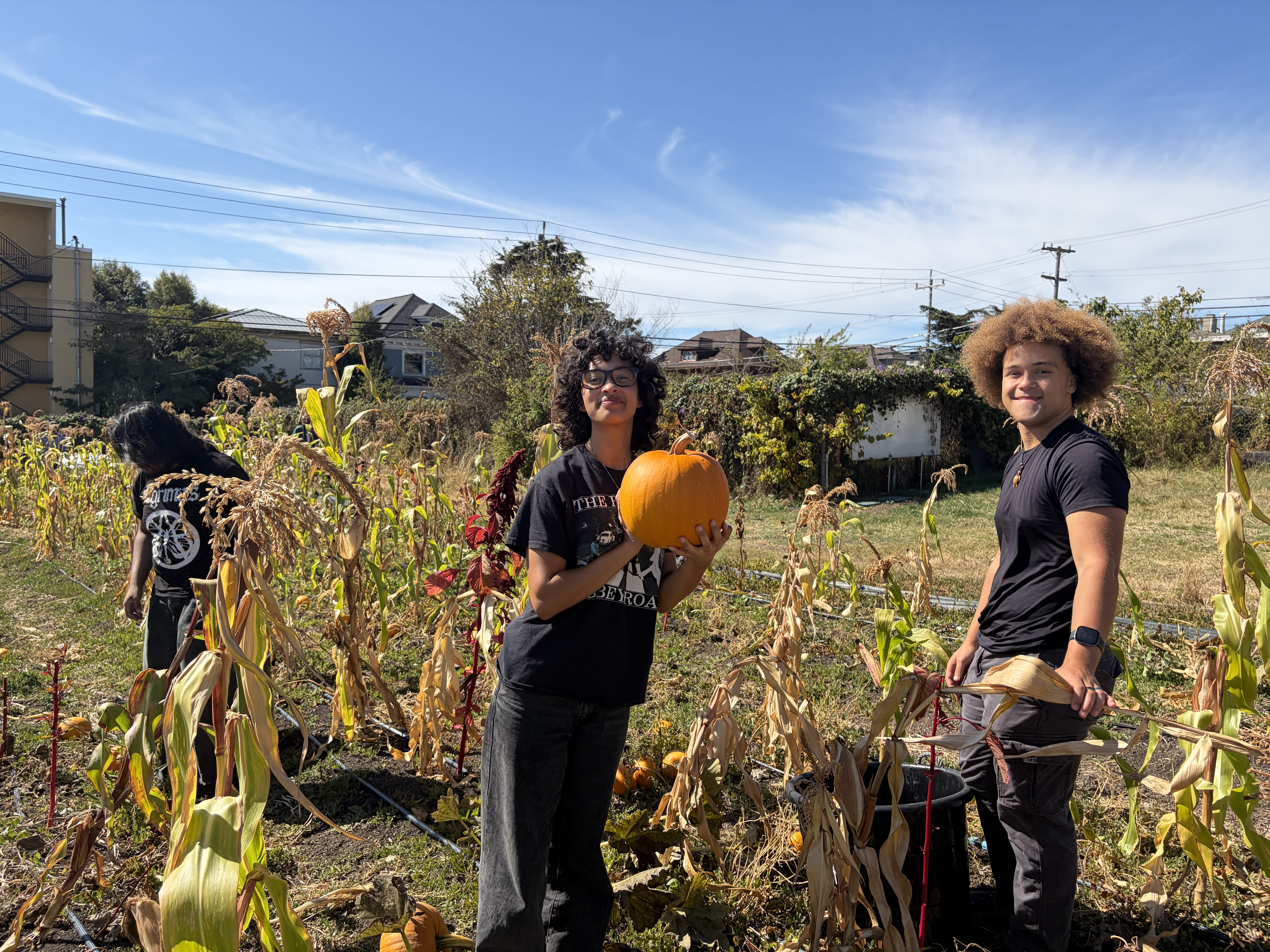 Students smiling at Oxford Tract while harvesting pumpkins