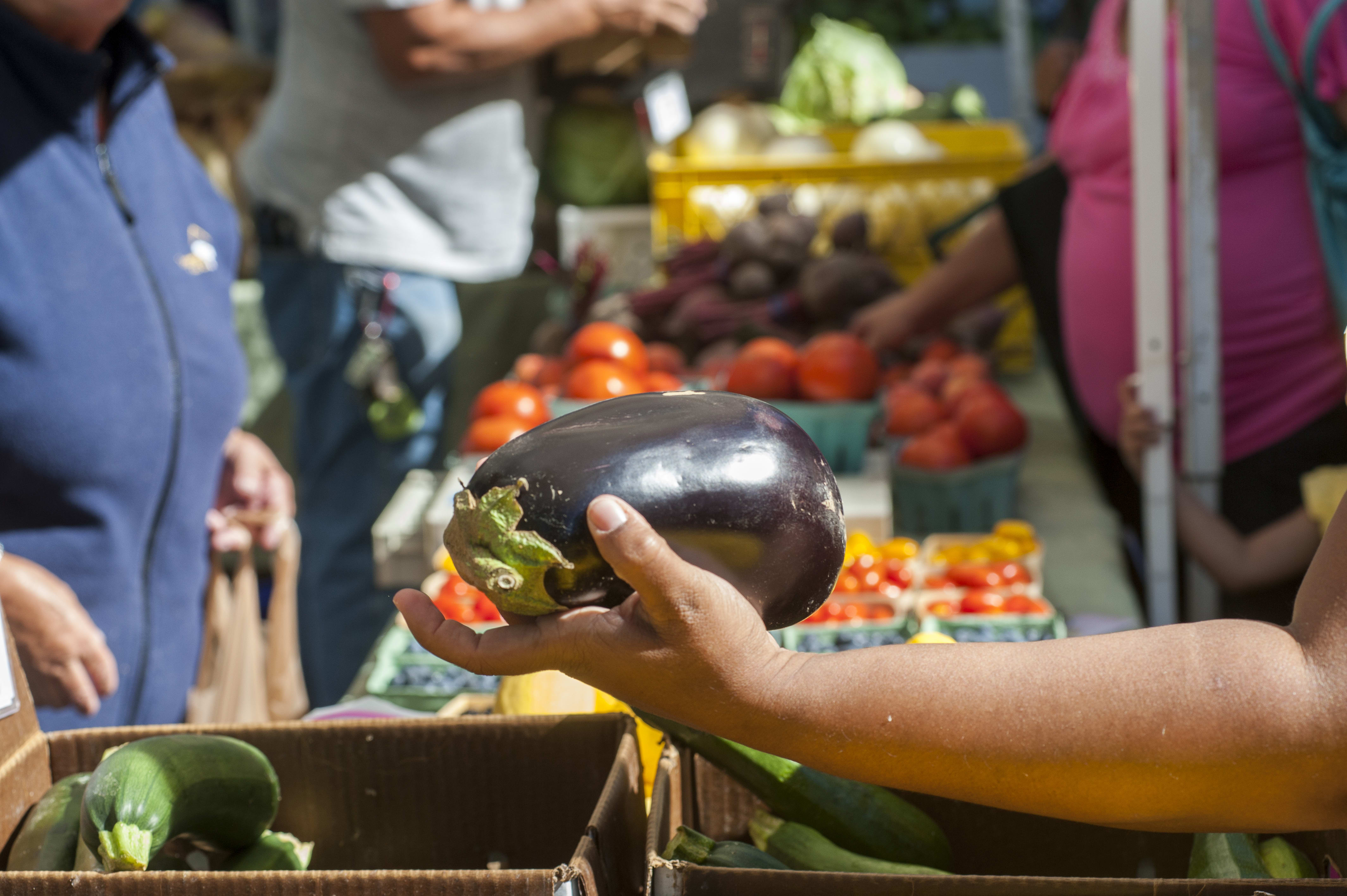 An individual handing over a large eggplant from a farmer's stand