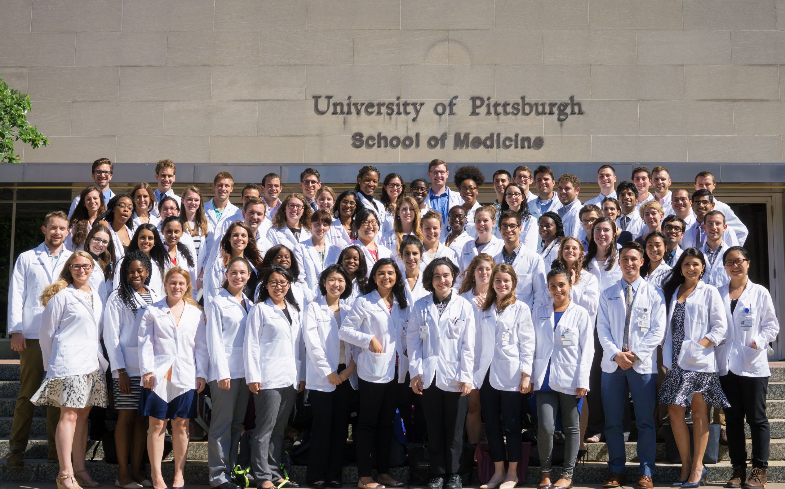 Pitt Medical School Admissions Statistics