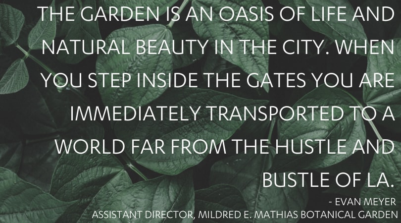 The Garden is an oasis of life and natural beauty in the city. When you step inside the gates you are immediately transported to a world far from the hustle and bustle of LA.