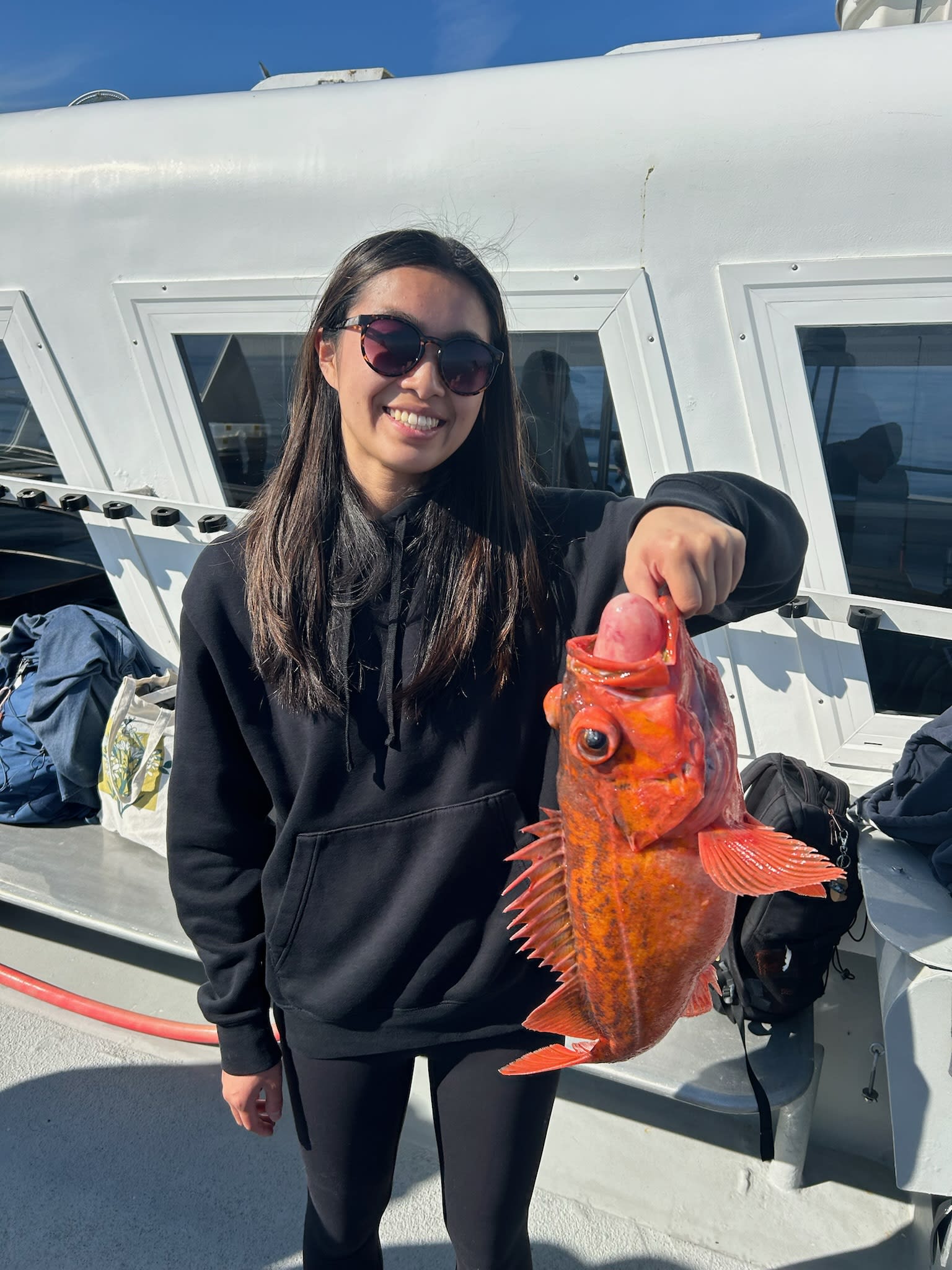 A big rock fish!
