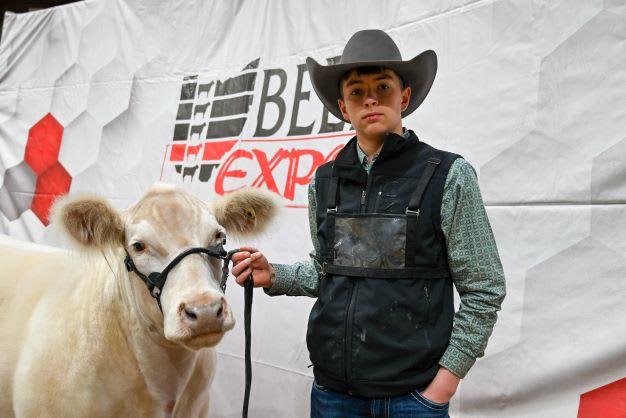 A boy stands beside a white cow, holding the reigns to keep the cow in place