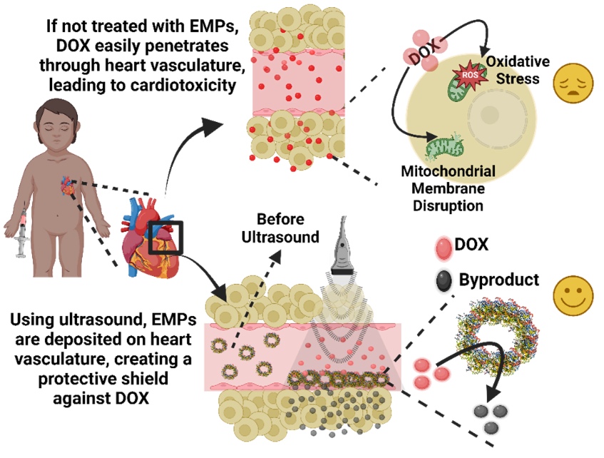 A diagram of a human body

Description automatically generated