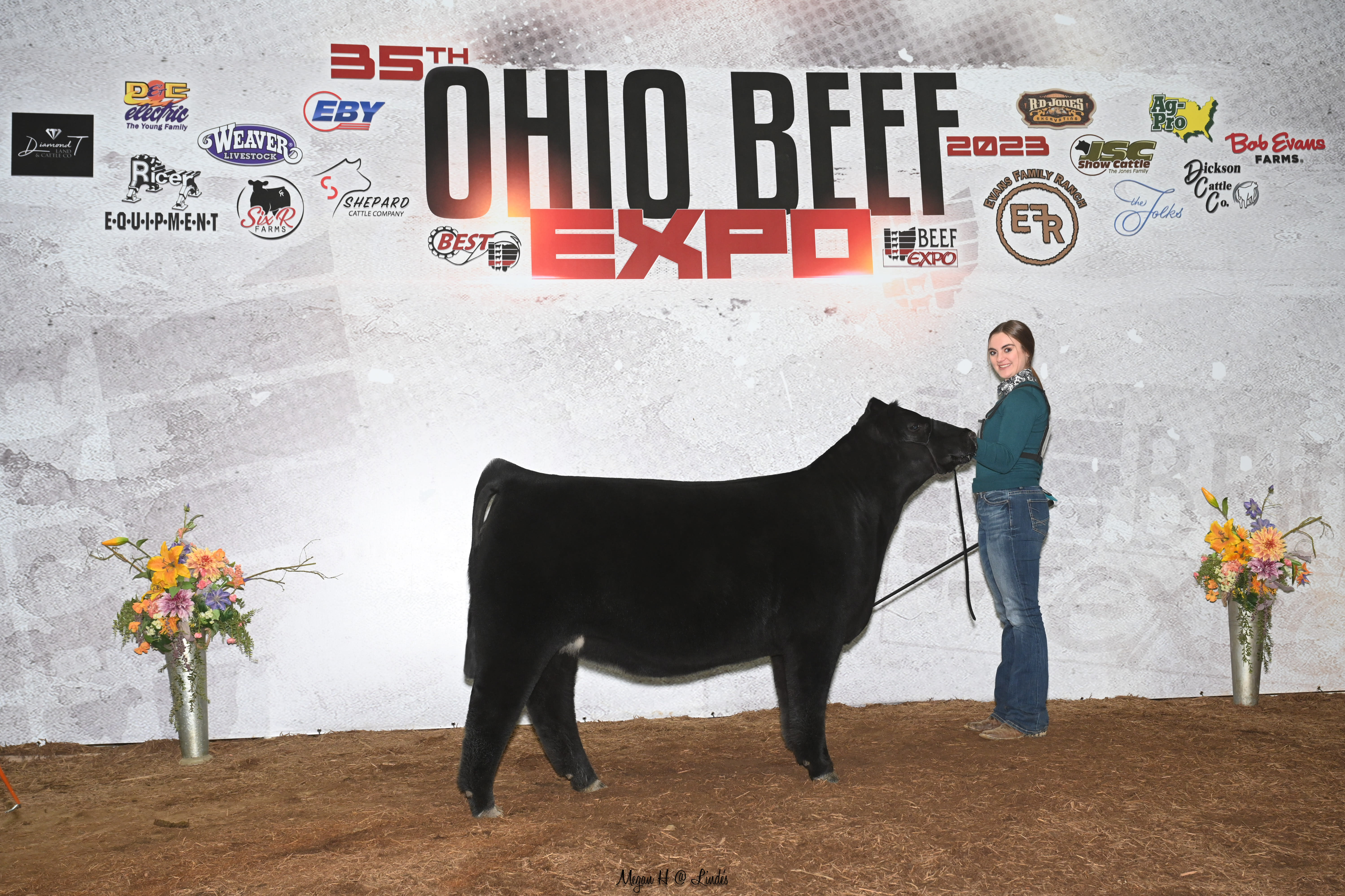 Individual holding onto a heifer at the Ohio Beef Expo