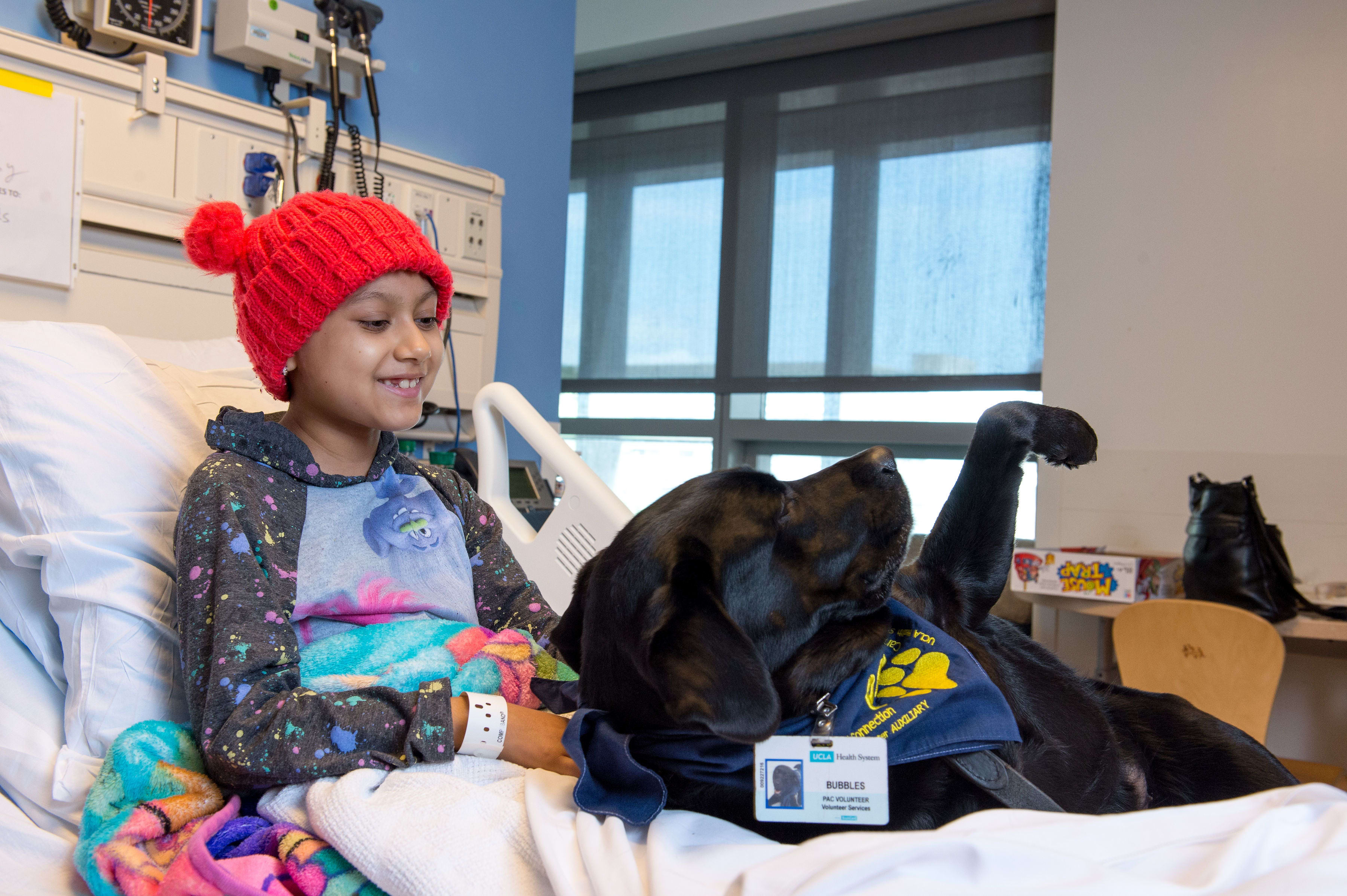 Ucla emotional support animal sale
