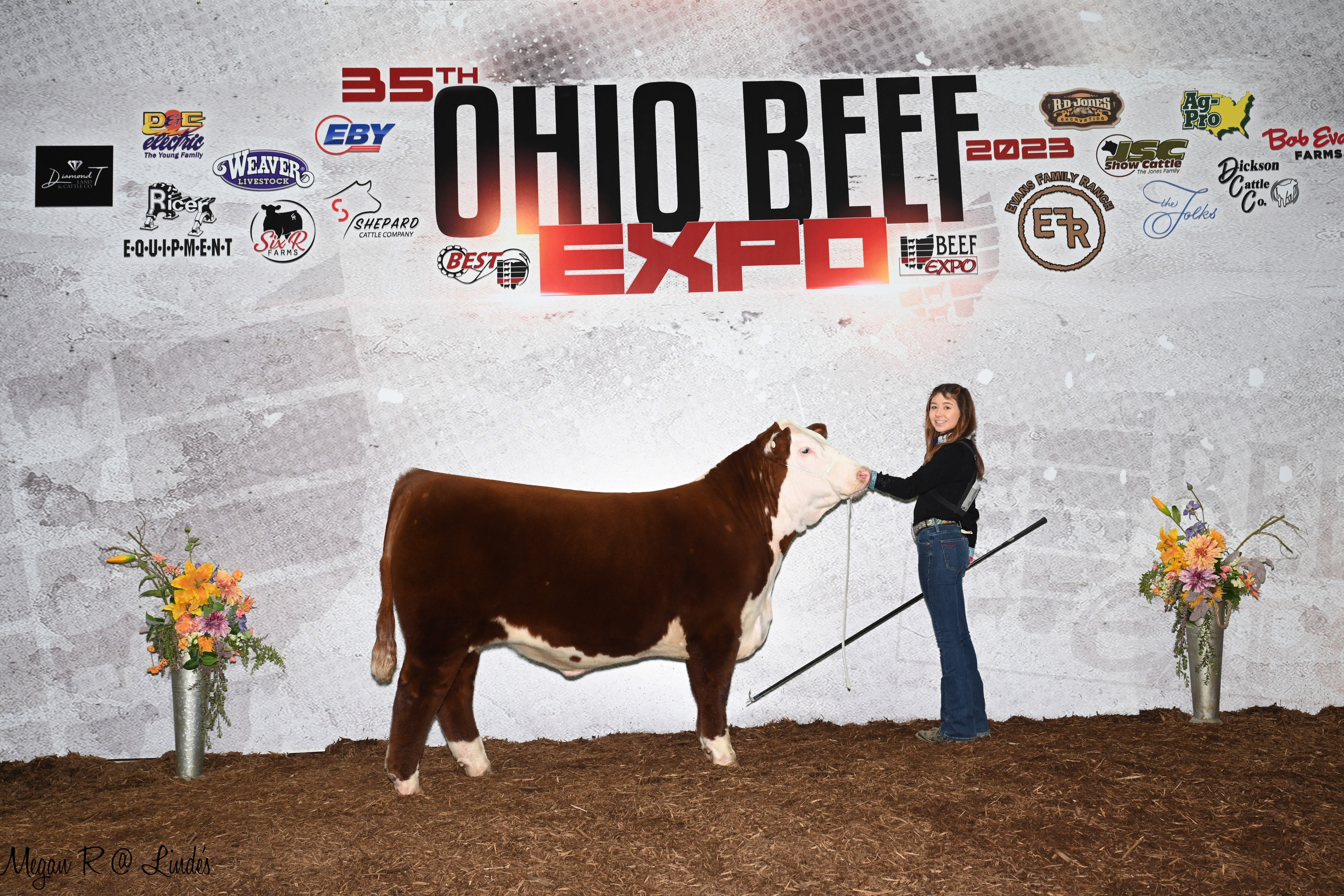 Individual standing next to a steer at the Ohio Beef Expo