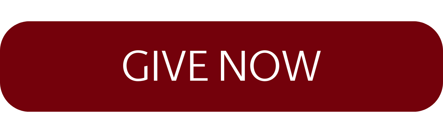 Red rounded rectangular button with white text reading “GIVE NOW.”