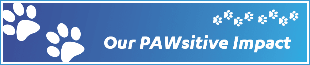 Our PAWsitive Impact