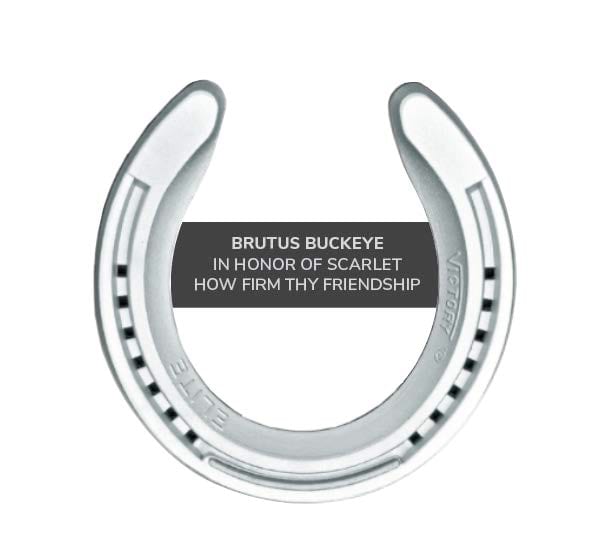 Brutus Buckeye horseshoes example image