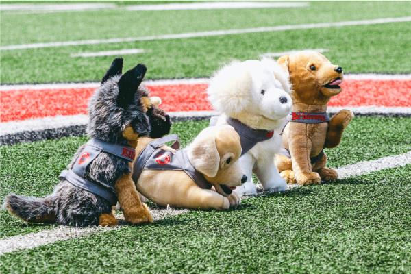 All four puppy plushies posed in the center of Buckeye Football stadium's field