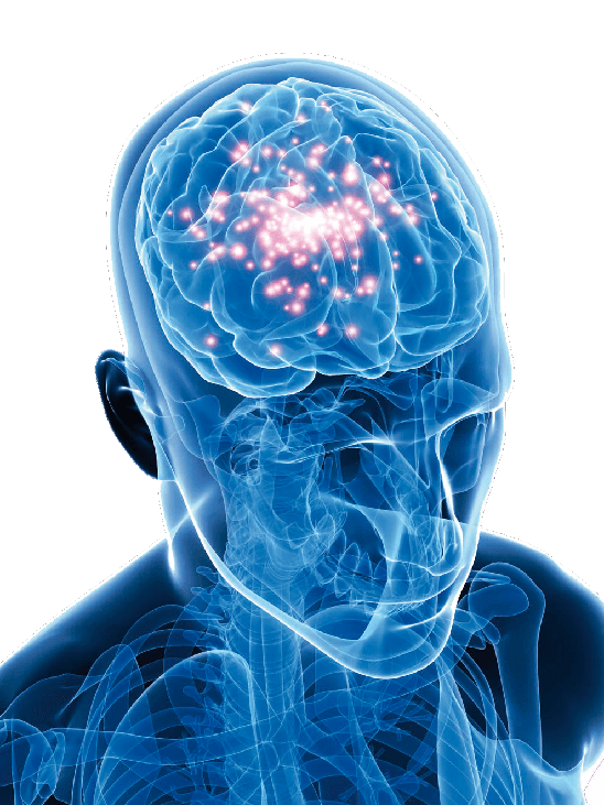 Virginia Tech VT Neurotrauma Research