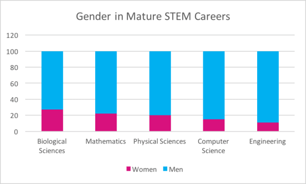 Chart of Disparities in STEM