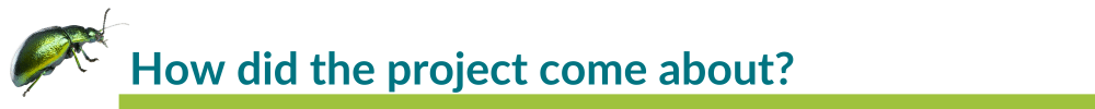 Title: How did the project come about?