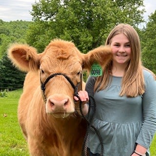 A girl standing with a large tree behind her holds the black reigns of her tan steer. They both look towards the camera