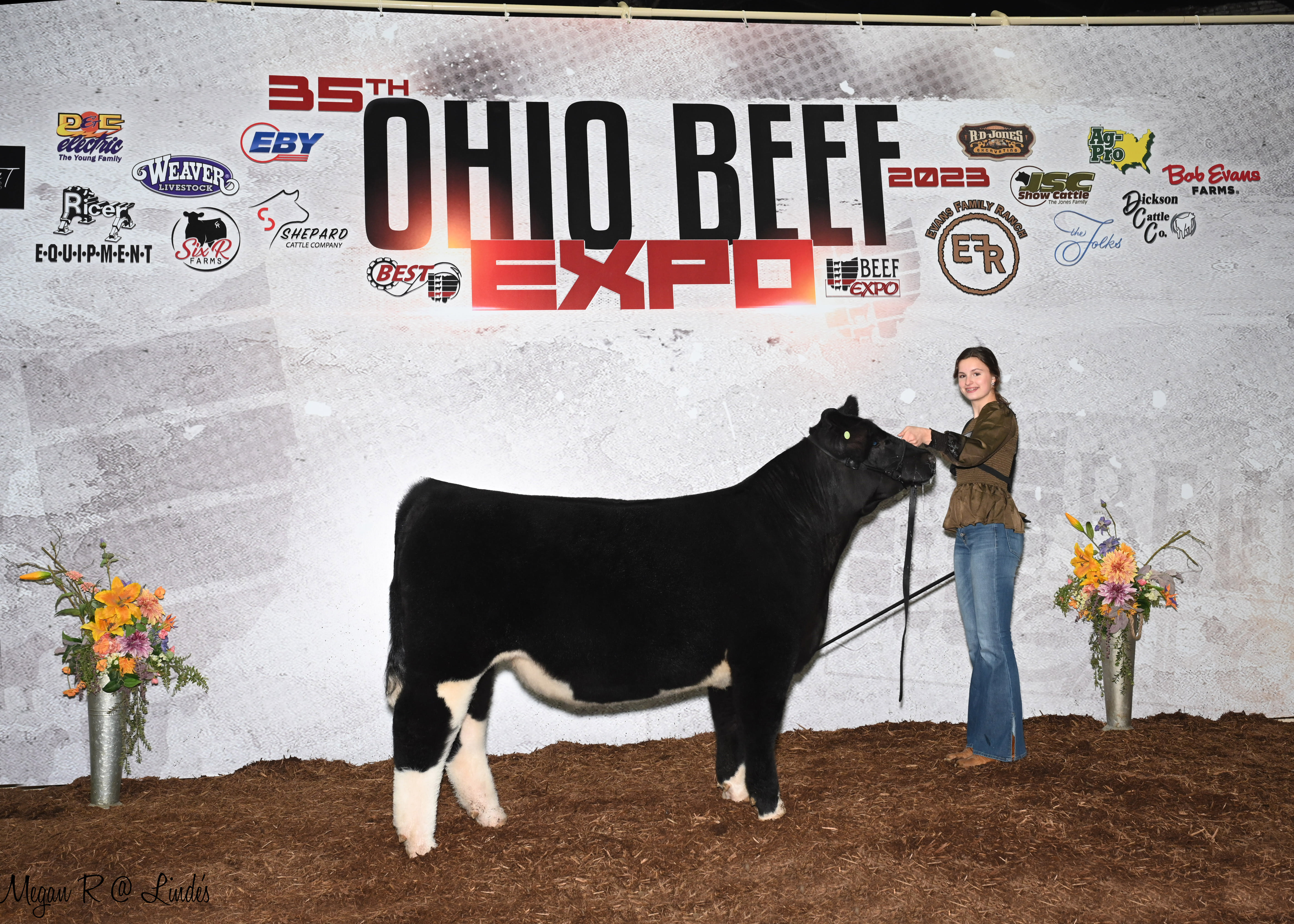 Individual holding a steer at the Ohio Beef Expo