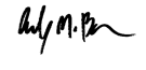 A close up of a signature

AI-generated content may be incorrect.