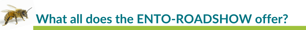 Title: What all does the ENTO-ROADSHOW offer?