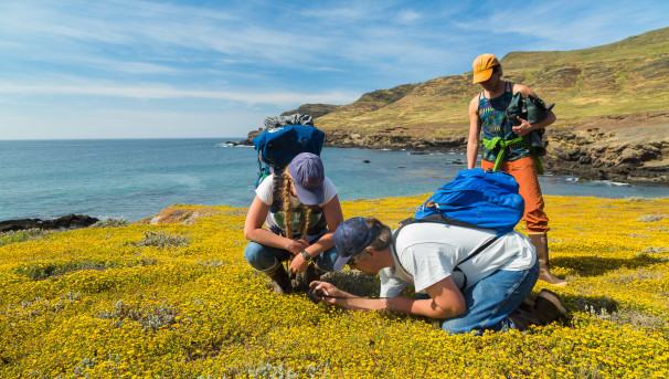 Santa Cruz Island Reserve: Student Support Image