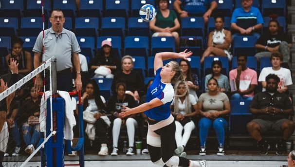 Court Volleyball Image