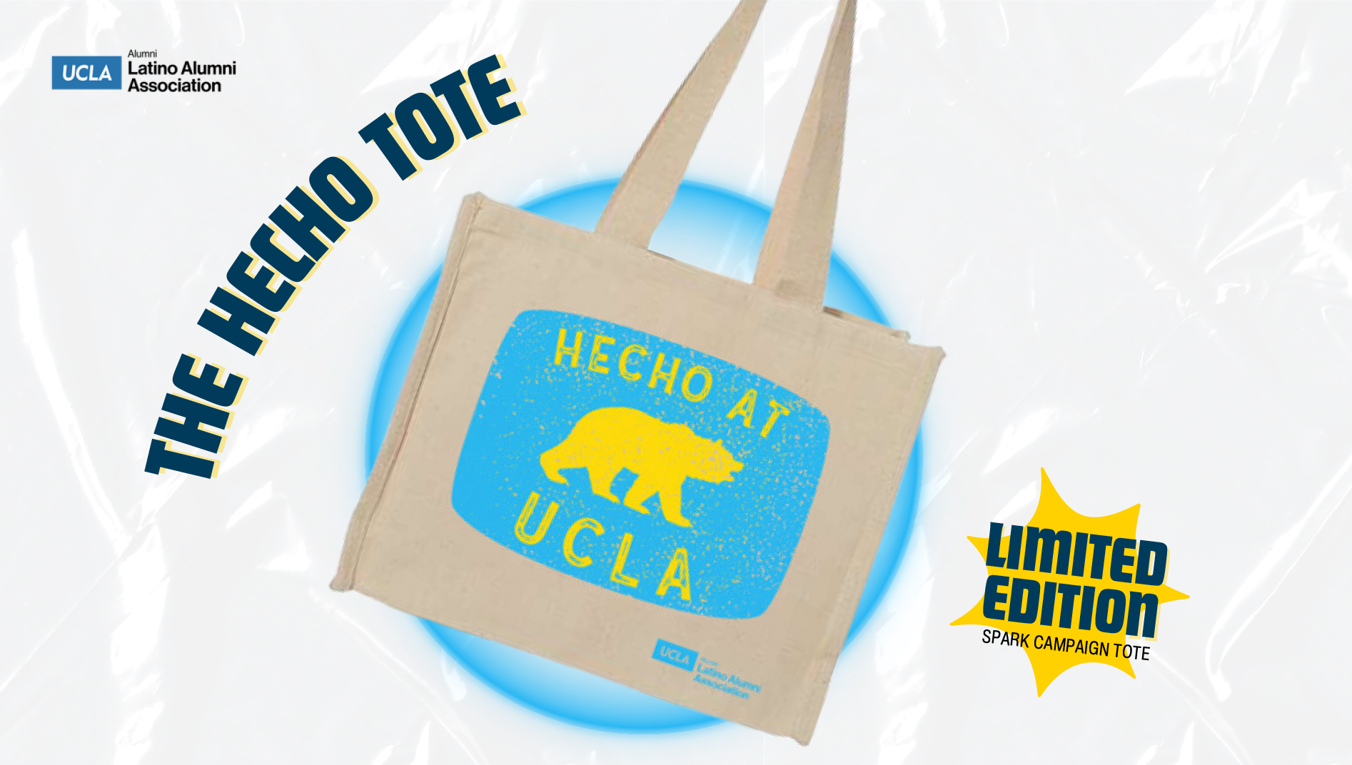 Past Projects Support Your UCLA Comunidad Updates