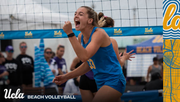 Beach Volleyball Image