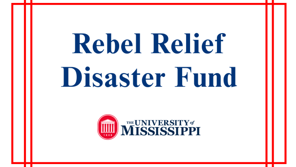 Support the Rebel Relief Disaster Fund Image