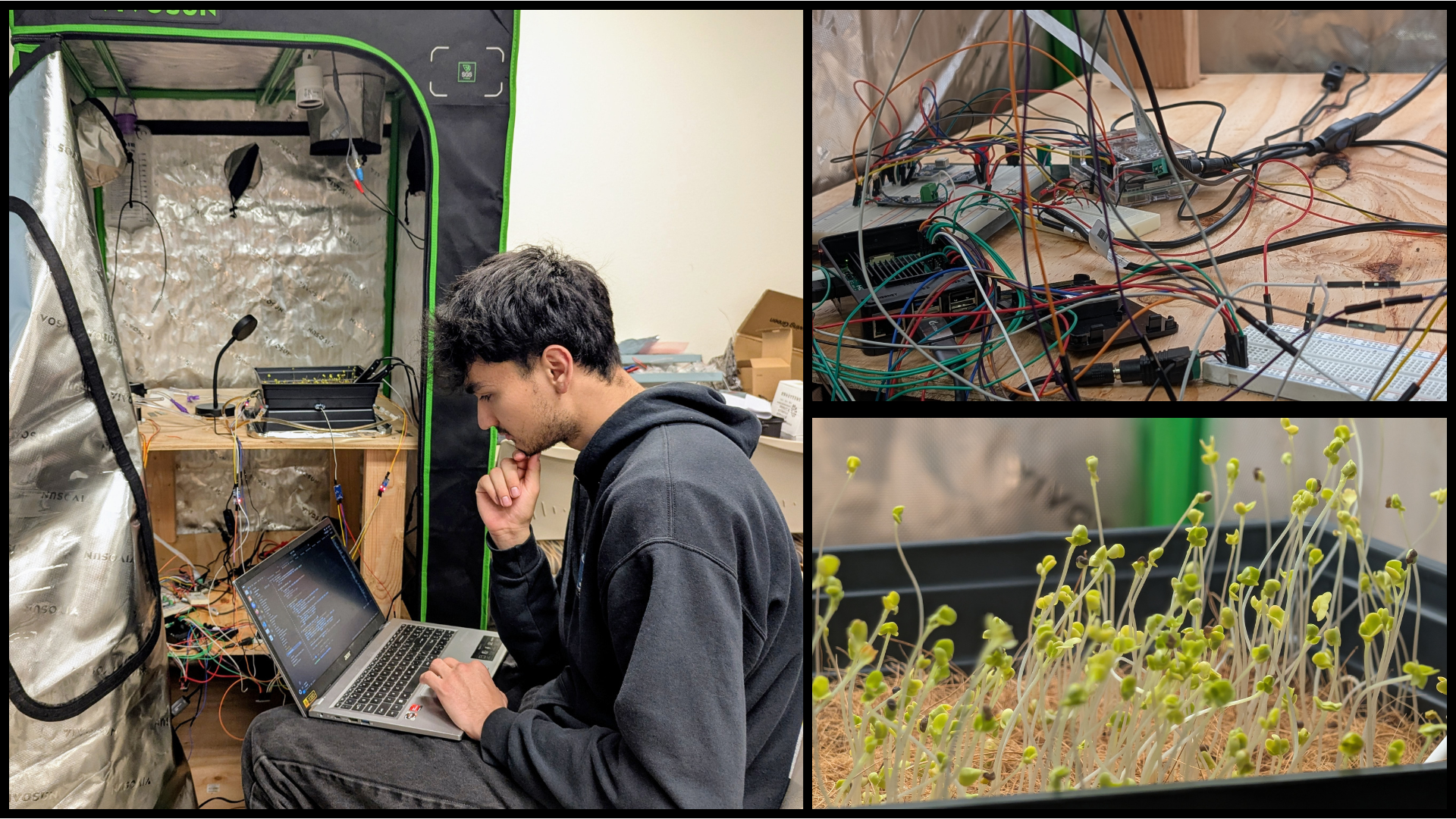 Student working on a laptop, seedlings in a tray, and wires coming out of various equipment