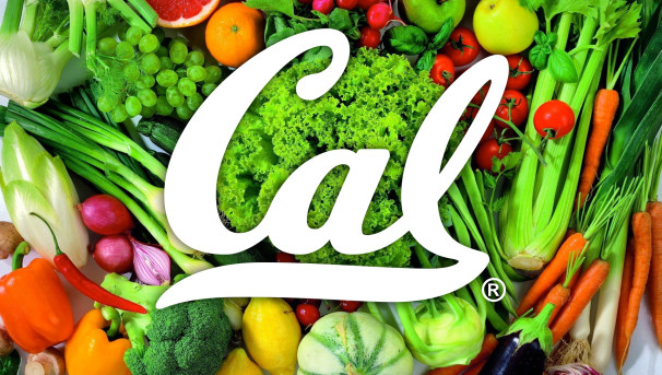 Cal Athletics: Fuel the Bears Image