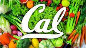 Cal Athletics: Fuel the Bears