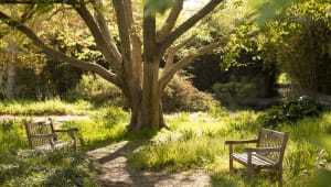 Arboretum and Botanical Garden at CSUF 2026