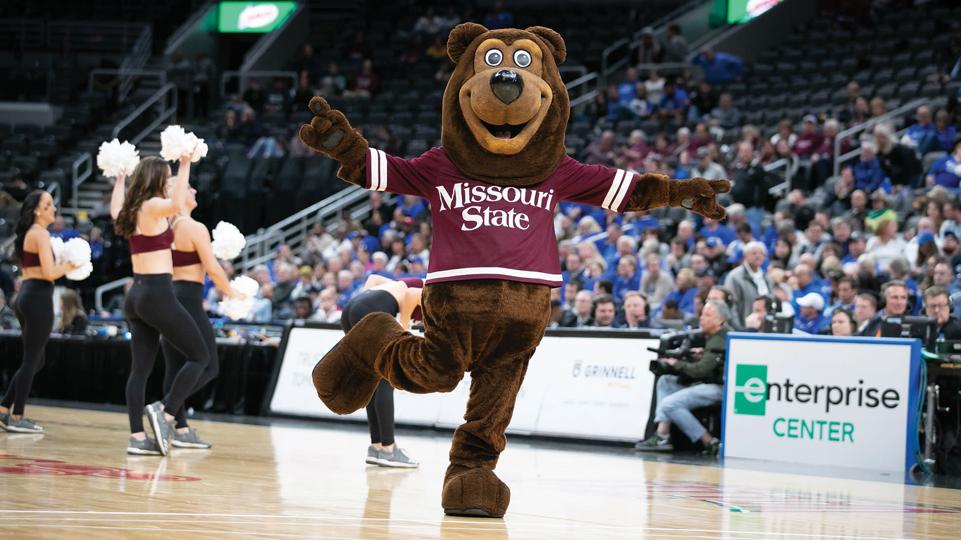 Boomer Bear on court