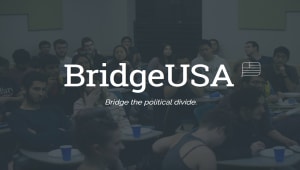 BridgeUSA