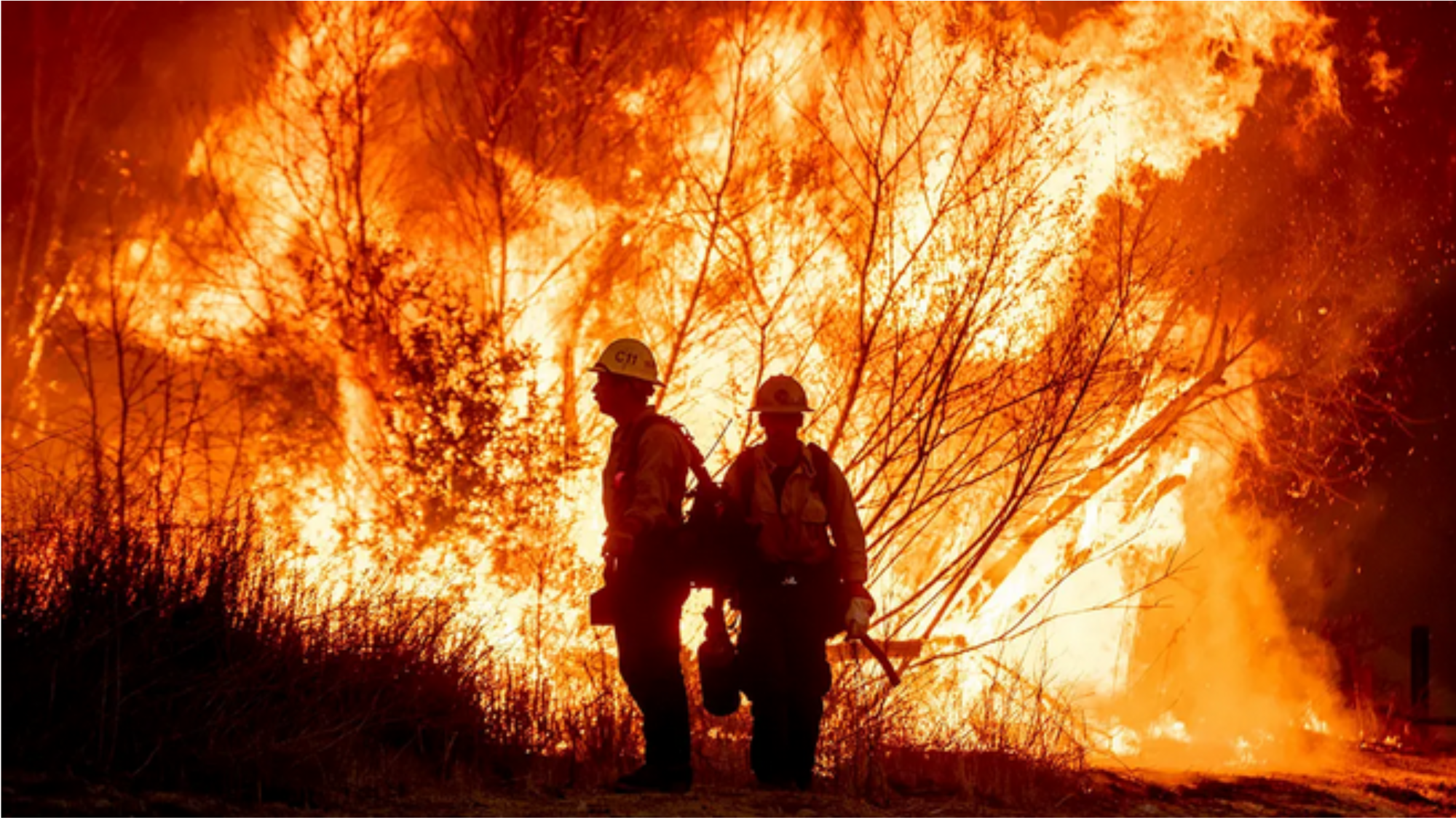 Two firefighters standing in front of a brush fire