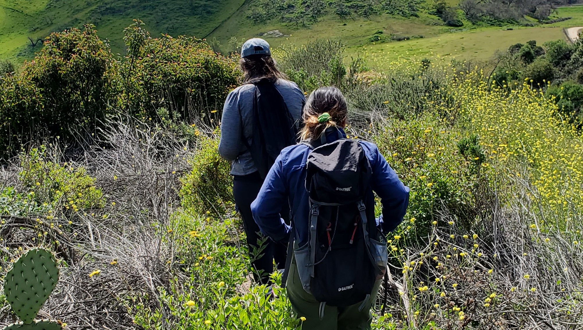 Undergraduates hiking through the preserve on CPP's campus.