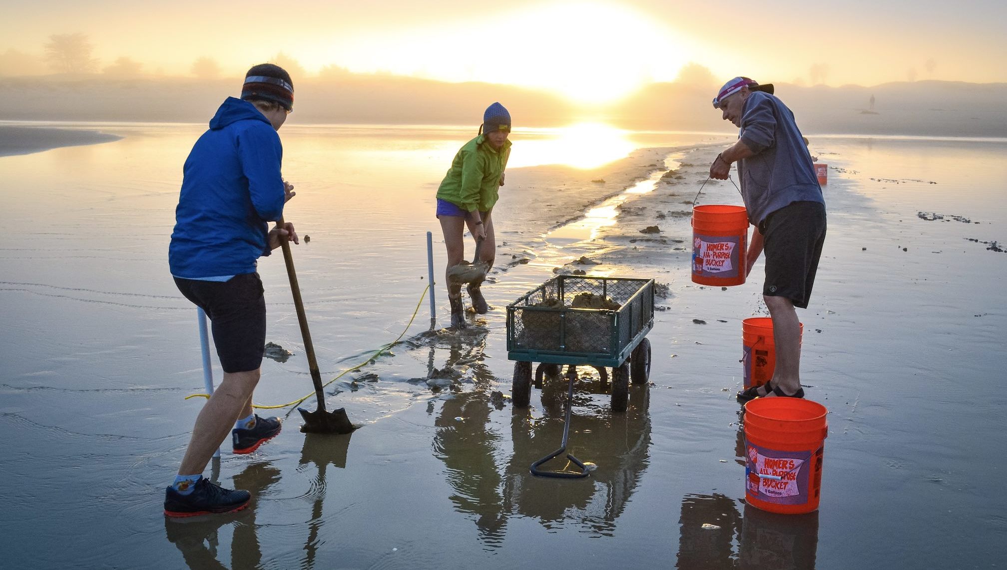 :Pismo Clam Field Research