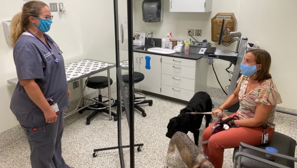 Veterinarian standing in a room talking with a client and their two dogs