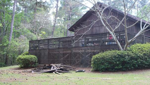 Help us restore the Arboretum Image