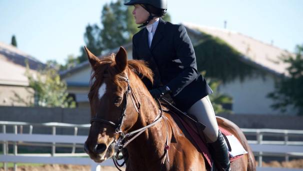 UCLA Equestrian Team: Saddling Up Champions Image