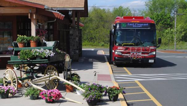 UMass Transit Services 50th Anniversary Scholarship Image