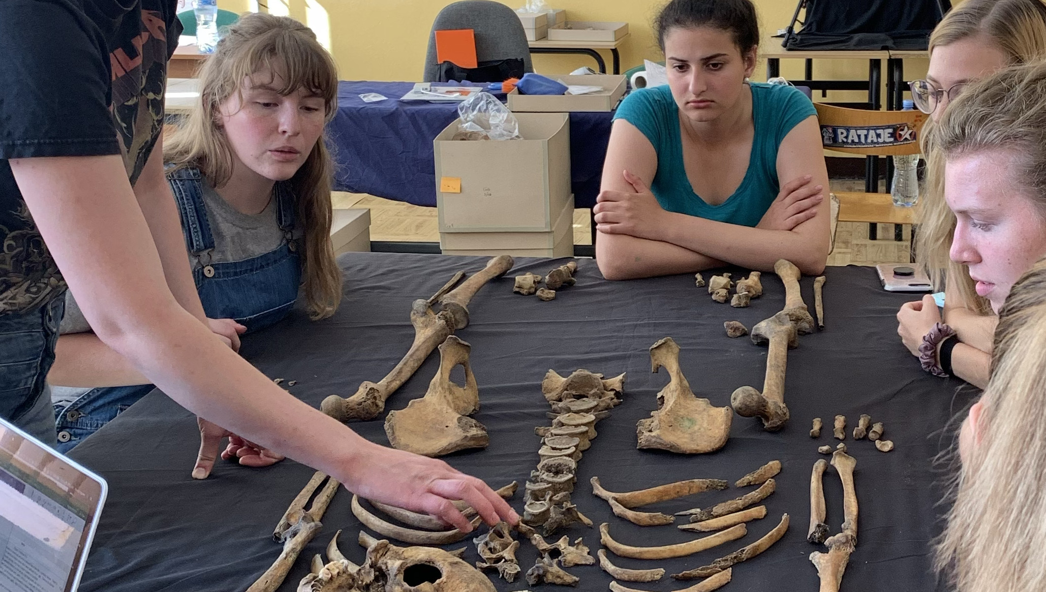 Students observing bones on a table at the 2019 Giecz Field School