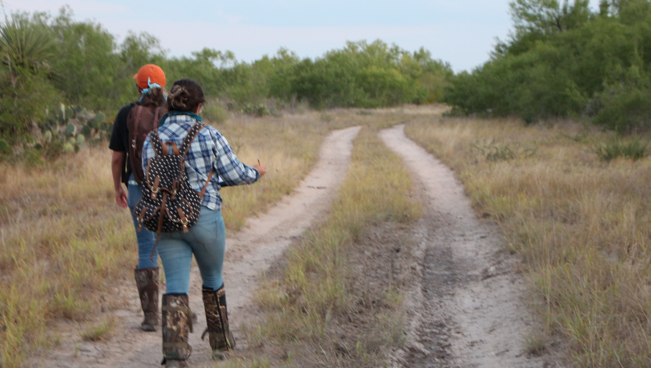 2019 Participants surveying the road for snakes.