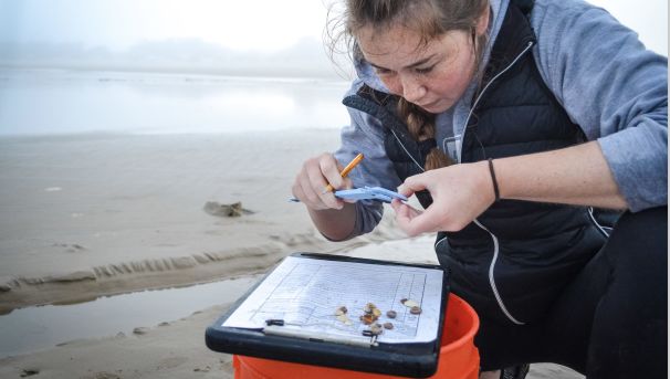 Pismo Clam Research and Recovery (February 2020) Image