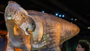 Sponsor Public School Field Trips to EFM