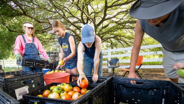 OSU Student Farm Image