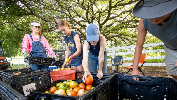 Giving Tuesday 2023 - OSU Student Farm Image