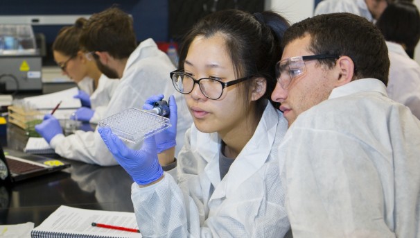The University of Massachusetts  College of Natural Sciences